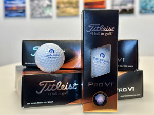 Castle Titleist Pro VI Golf Balls